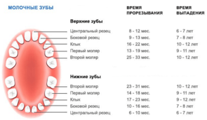 Промяната на зъбите