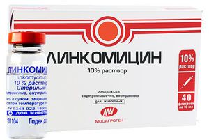 Линкомицин и неговите свойства