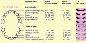Признаци на зъби при кърмачета